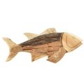 Floristik24 Pez de madera decoración de madera de teca decoración de mesa de pescado madera 63cm
