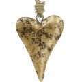 Floristik24 Corazón de madera efecto dorado, San Valentín, decoración de boda 10 × 7cm