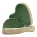Floristik24 Corazones de madera corazones decorativos verde madera brillante 4,5cm 8ud