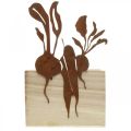Floristik24 Macetero de madera con decoración de óxido macetero vegetal 17×17×12cm