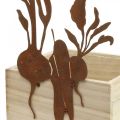 Floristik24 Macetero de madera con decoración de óxido macetero vegetal 17×17×12cm