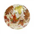 Floristik24 Decoración de setas de madera hojas de otoño blanco, decoración de mesa de setas de colores Ø10cm H15cm