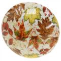 Floristik24 Seta de madera deco hojas de otoño blanco, colorido decoración otoñal Ø13cm H19cm