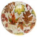 Seta de madera deco hojas de otoño blanco, colorido decoración otoñal Ø13cm H19cm | Floristik24.es