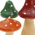 Floristik24 Toadstools decorativos de madera naranja, verde, rojo 6/8 / 10.5cm 9pcs