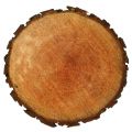 Floristik24 Disco de madera de aliso natural Ø20cm - 24cm
