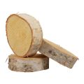 Floristik24 Discos de madera decorativos madera de abedul corteza natural Ø7-9cm 20ud