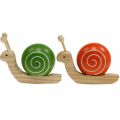 Floristik24 Caracoles de madera para decorar, primavera, caracol de jardín verde-naranja, decoración de mesa 6ud