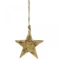 Floristik24 Estrella para colgar, decoración de madera con efecto dorado, Adviento 14cm × 14cm