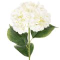 Floristik24 Hortensia artificial de tallo largo, flor artificial de 60 cm.