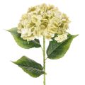 Floristik24 Flor de hortensia artificial con tallo largo y hojas, 60 cm.
