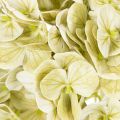 Flor de hortensia artificial