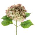 Floristik24 Hortensia artificial decorativa con tallo, 46 cm.