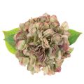 Hortensia artificial