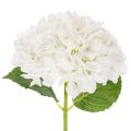 Floristik24 Hortensia artificial con tallo largo para decoración, 48 cm.