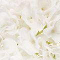 Hortensia artificial con tallo largo para decoración, 48 cm. | Floristik24.es