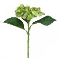 Floristik24 Hortensia artificial, decoración floral, flor de seda verde L44cm