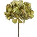 Floristik24 Hortensia artificial flor artificial verde 64cm
