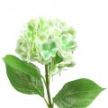 Floristik24 Hortensia artificial verde, blanco 68cm