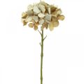 Floristik24 Hortensia flor artificial marrón, blanca decoración de otoño flor de seda H32cm