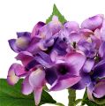 Floristik24 Hortensia violeta 33cm 1p