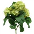 Floristik24 Hortensia artificial verde ramo de flores artificiales 5 flores 42cm