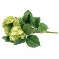Floristik24 Hortensia artificial verde ramo de flores artificiales 5 flores 42cm
