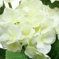 Floristik24 Hortensia flores artificiales de seda blanca ramo decoración de verano 42cm