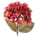 Floristik24 Rama de hortensia artificial en flor, flor grande, 74 cm.