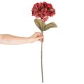 Rama de hortensia artificial en flor, flor grande, 74 cm. | Floristik24.es