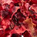 Rama de hortensia artificial en flor, flor grande, 74 cm. | Floristik24.es