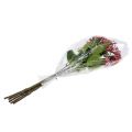 Floristik24 Rama de brote de hortensia 55cm rosa 6pcs