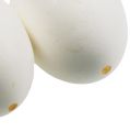 Floristik24 Huevos de gallina blancos 10uds