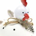 Floristik24 Figura decorativa pollo blanco con lunares y plumas H13cm 2pcs