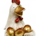 Floristik24 Pollo de Pascua, gallina decorativa, pollo con huevos de oro, figura de Pascua H24cm