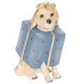 Floristik24 Figura decorativa de perro, cachorro sentado, en caja de regalo, 20 cm.