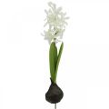 Floristik24 Jacinto artificial con bulbo flor artificial blanca para pegar 29cm