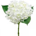 Floristik24 Hortensia blanco artificial 53cm