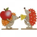 Floristik24 Figura de otoño, erizo con manzana y seta, decoración de madera naranja / rojo H24 / 23.5cm juego de 2