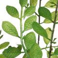 Planta artificial en maceta, 130 cm de altura, verde, decorativa. | Floristik24.es