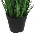 Floristik24 Juncia artificial en maceta con pinchos Carex planta artificial 98cm