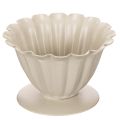Floristik24 Cuenco, copa, cáliz floral, decoración color crema, 9 cm