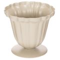 Floristik24 Cuenco decorativo, trofeo color crema, pequeño, 10 cm
