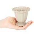 Cuenco decorativo, trofeo color crema, pequeño, 10 cm | Floristik24.es