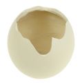 Floristik24 Crema de huevo de cerámica H12cm 2pcs