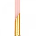 Floristik24 Velas de árbol velas piramidales rosas, velas doradas H105mm 10p