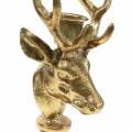 Floristik24 Candelabro de metal dorado con cabeza de ciervo aspecto antiguo 19,5cm