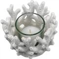 Floristik24 Farol con cristal en coral diseño decoracion marinera blanco artificial Ø9,5cm 2uds