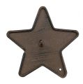 Floristik24 Portavelas estrella para pegar 9cm marrón