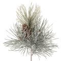 Floristik24 Rama de pino artificial con piñas, de invierno, 40 cm.